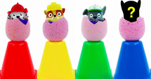 Egg Surprise with a Mystery Friend