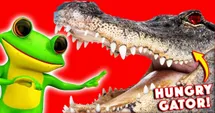 Watch Out for the Hungry Alligator