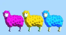 Sheep of Many Colors!