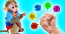 Colorful Lollipops for You!