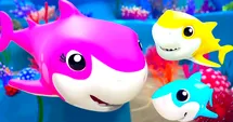 Swim with the Big Fish!