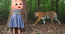Hiding from the tiger in the wild