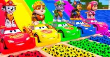 Paw Patrol Racers' Splashy Cars Adventure!