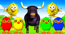 Birds and the Bull: A Wild Adventure