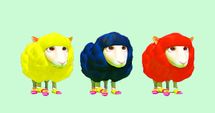 Sheep Parade in Bright Shoes!