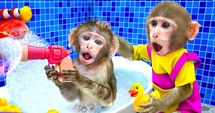 Monkeys make bath time a blast