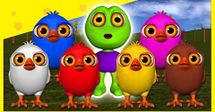 colorful birds and frog