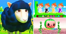 The Sheep Loves Colors!