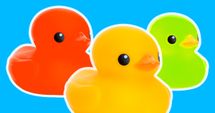 Duck, Duck, Fun!