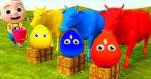 Farm Fun with Colorful Eggs