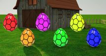 Spot the Egg with the Funniest Color!
