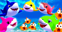 Sharks and Fishes Ready to Play