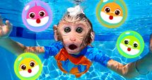 Monkey's Underwater Adventure!