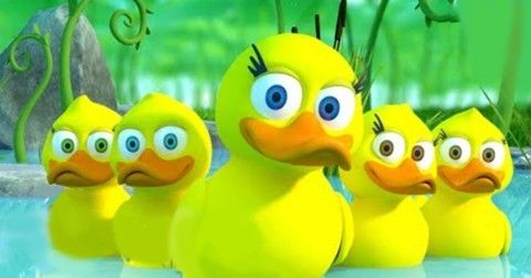 a group of ducks standing in a pool