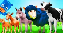 Farm animals are ready for fun