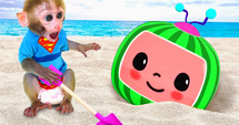 Beach Adventure Fun