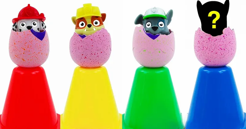 Egg Surprise with a Mystery Friend